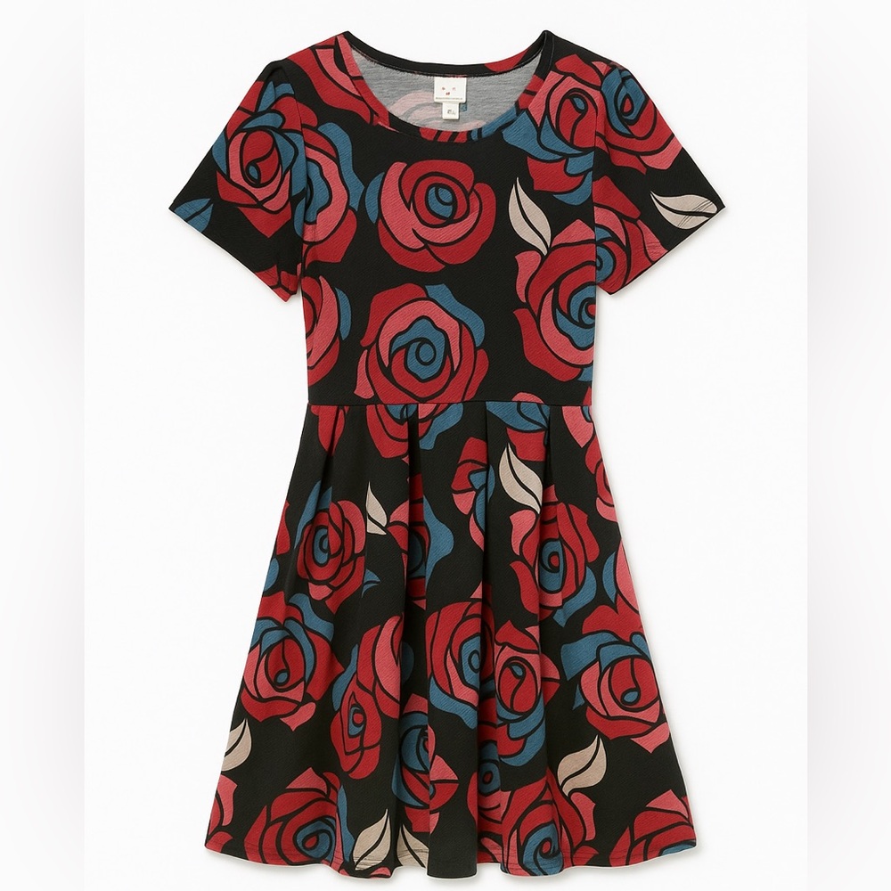 Lularoe Amelia colorful dress